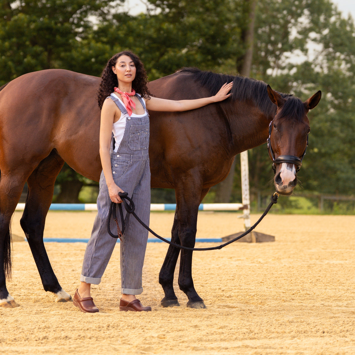 Professional Saddle Full Grain - Dansko Latest