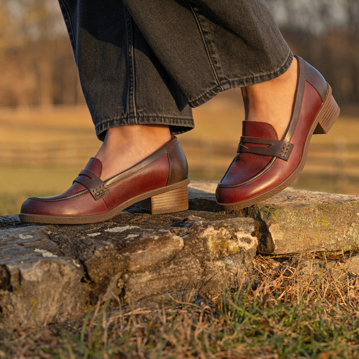 Danica Plum/Chocolate Waterproof Burnished - Dansko Classic